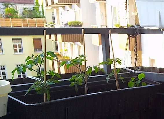 Infos zu Blumenkästen