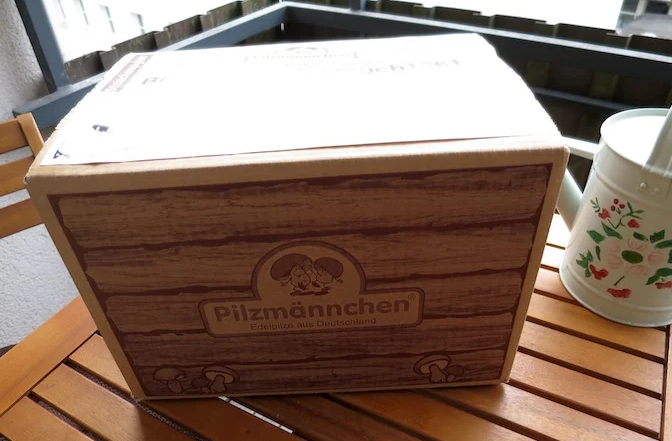 Pilze im Pilzauchtset