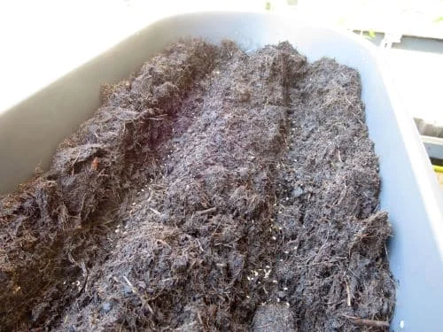 Saatfurchen für Möhren im Blumenkasten