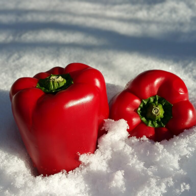 Winterschlaf_Gemüse