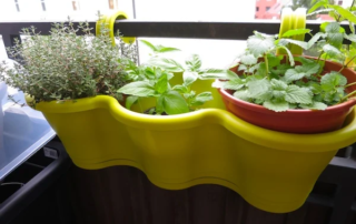 Blumenkasten von Elho