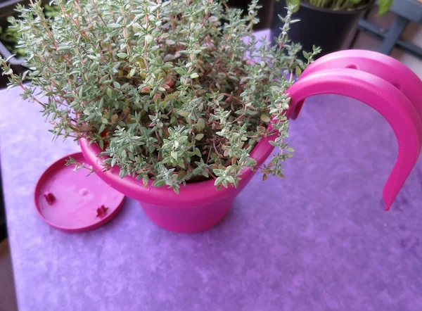 Blumentopf von Elho