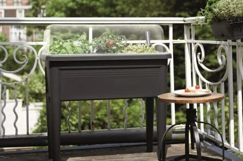 Elho Hochbeet gewinnen