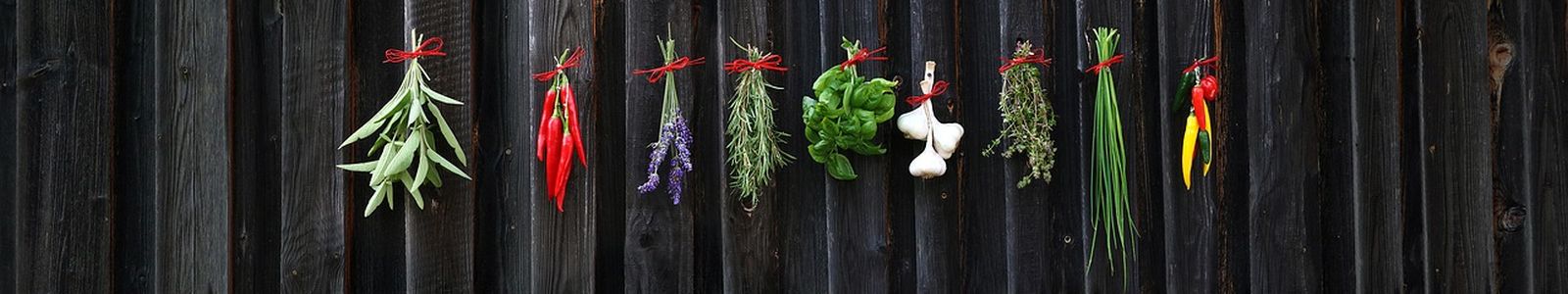 Kräuter auf dem Balkon anbauen