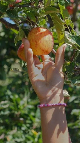 Gärtnern mit Kindern_2