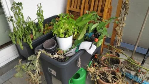 Balkon winterfest machen