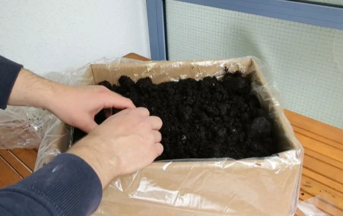 Pilzzuchtset vorbereiten