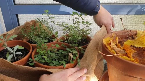 Kokosmatte als Winterschutz für Blumentöpfe