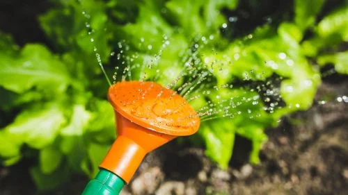 Bewässerung auf dem Balkon