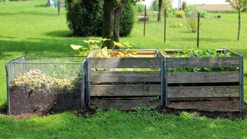 Dünger für Balkongemüse