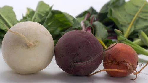Rote Bete Sorten