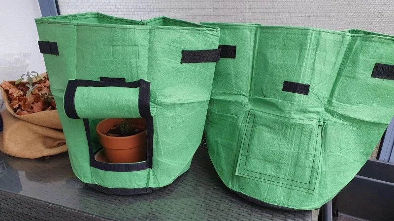 Gemüse im Pflanzsack anbauen