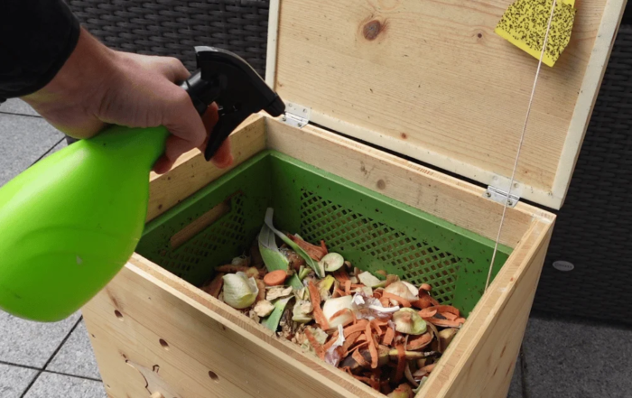 Bekämpfung von Trauermücken und Fruchtfliegen