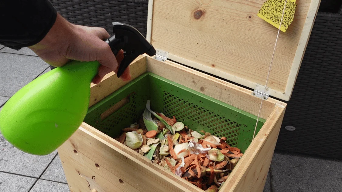 Bekämpfung von Trauermücken und Fruchtfliegen