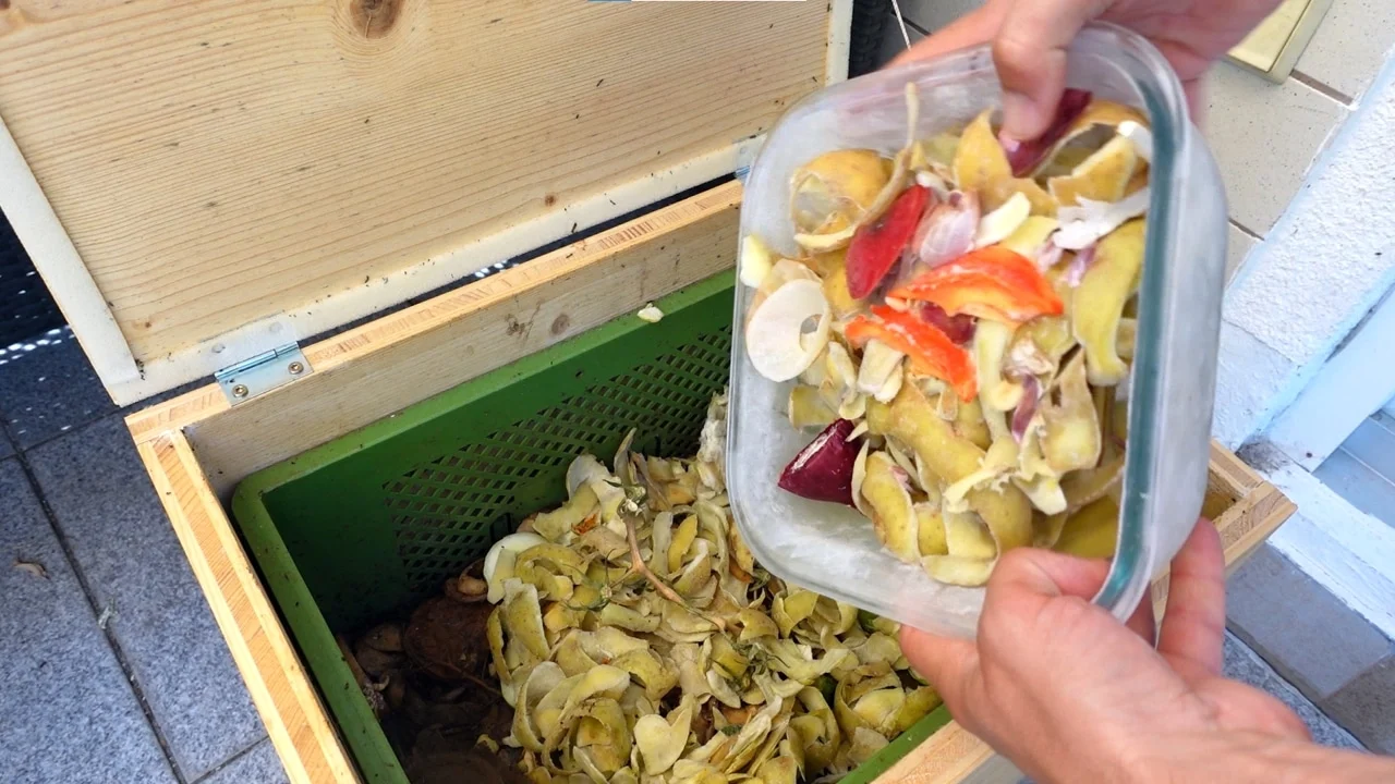 Wurmkiste Frosttherapie