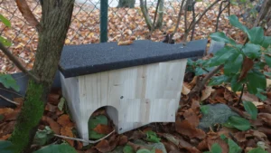 Igelhaus selber bauen_Igelhaus aufstellen