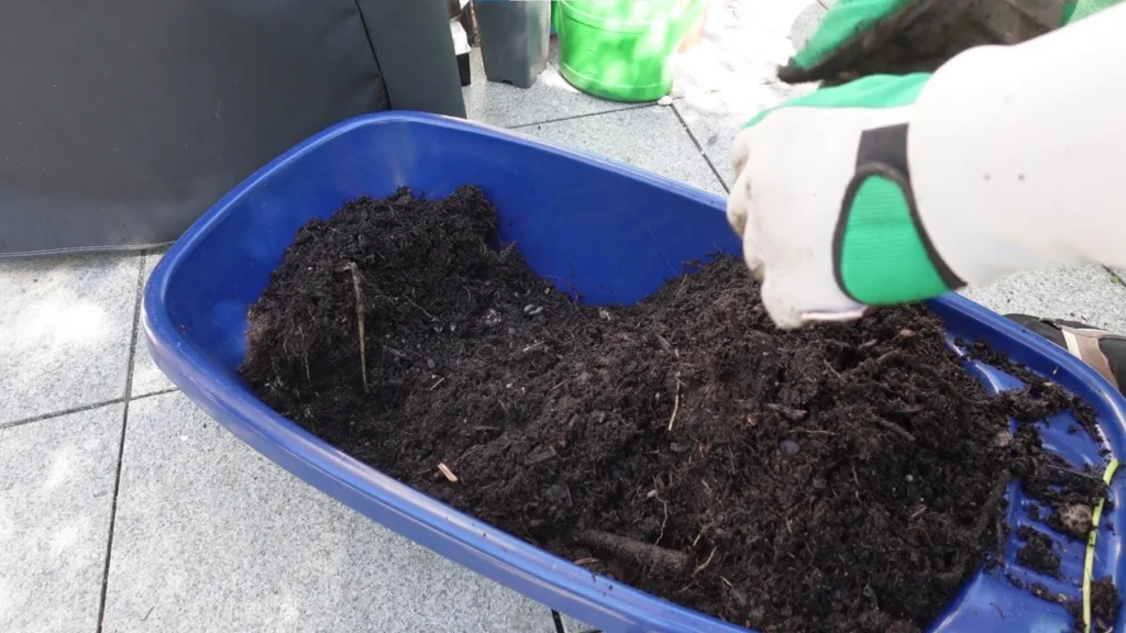 Erde aufbereiten_umfüllen