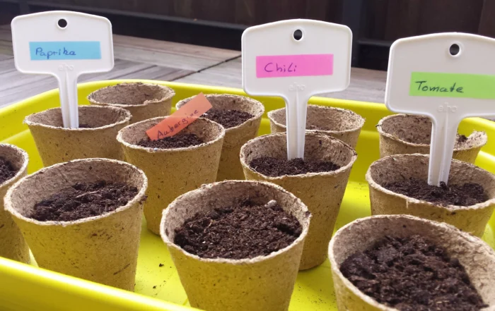 Gemüse Balkon im Februar