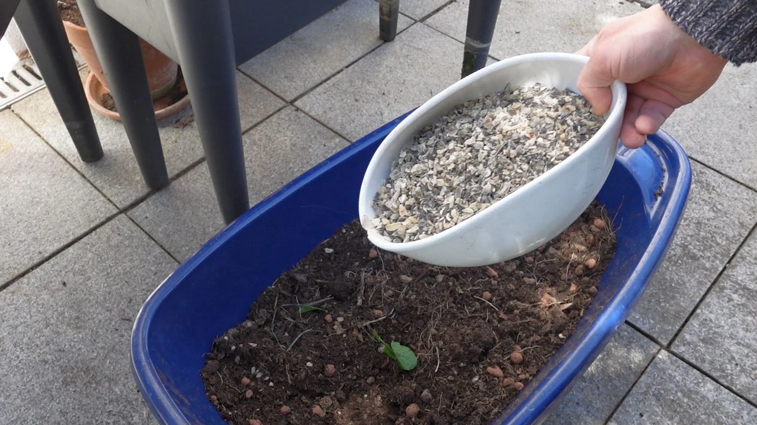 Erde_Langzeitdünger_Hornspäne_1500 Gemüseerde aufbereiten mit Hornspänen als Langzeitdünger