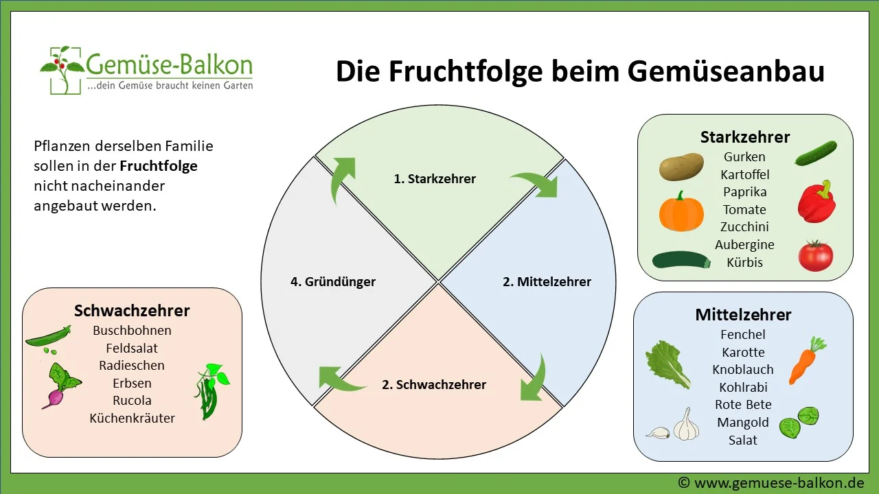 Die Fruchtfolge beim Gemüseanbau
