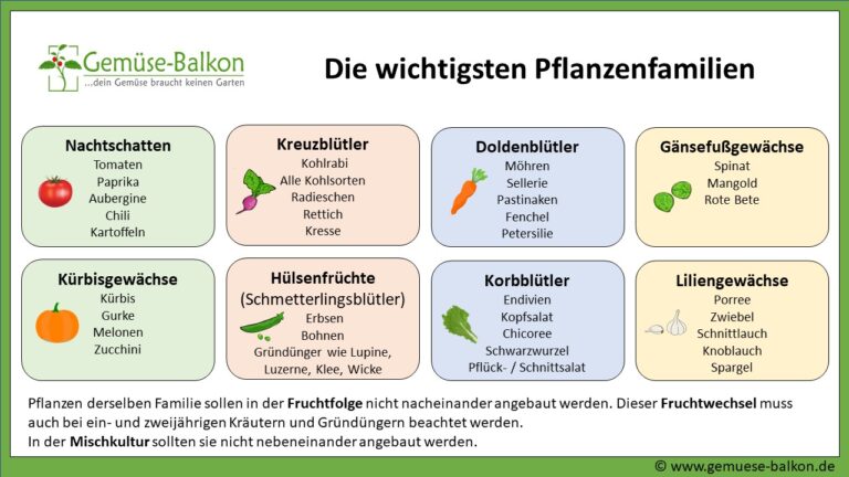 Die wichtigsten Pflanzenfamilien
