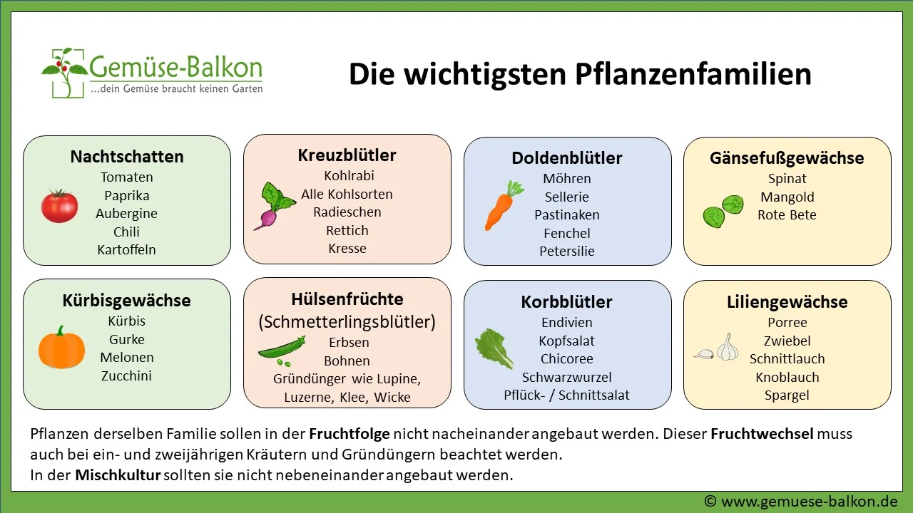 Die wichtigsten Pflanzenfamilien