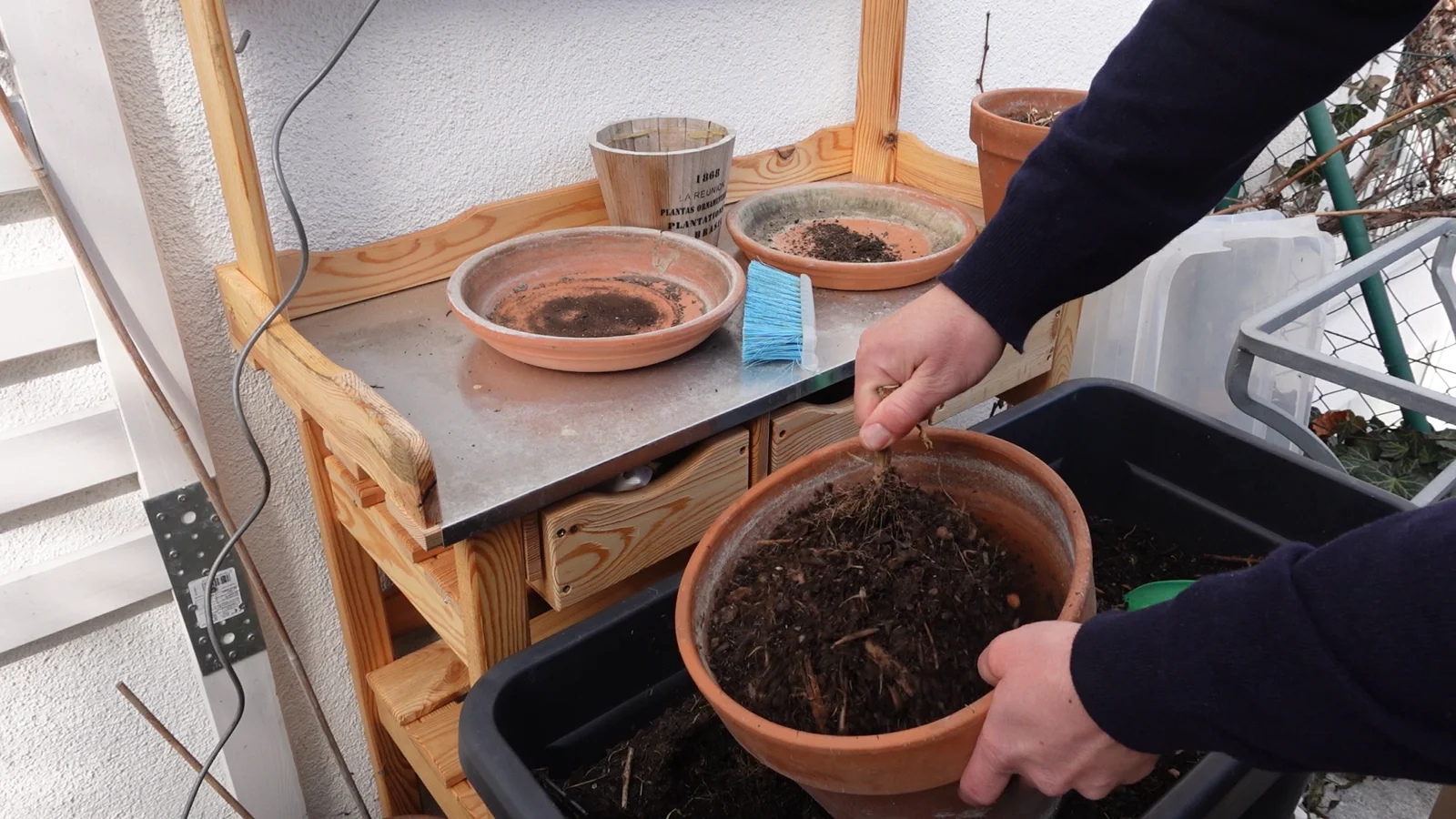 Wurzeln entfernen Erde aufbereiten_Wurzeln entfernen