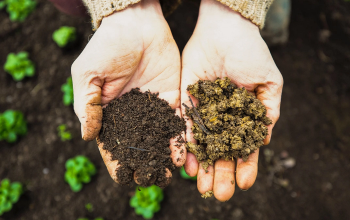 Gemüseerde aufbereiten