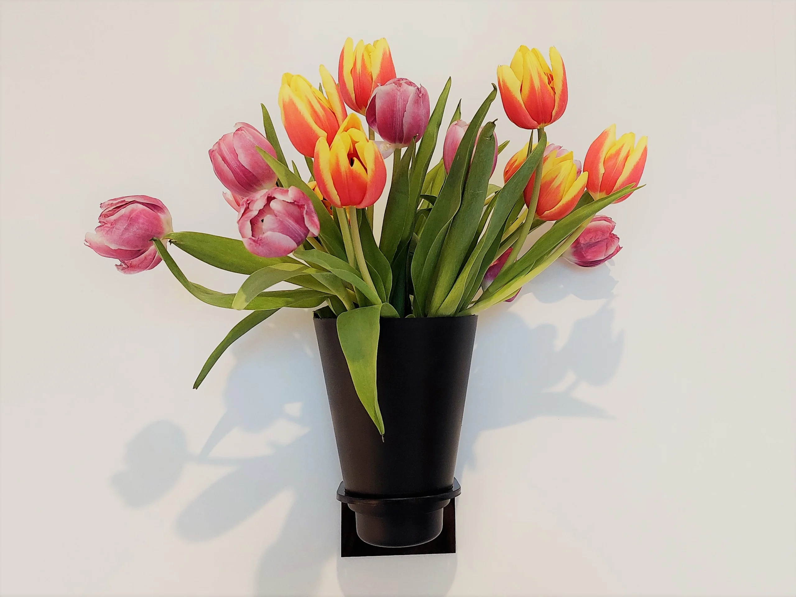 Camperflower Halterung Blumen