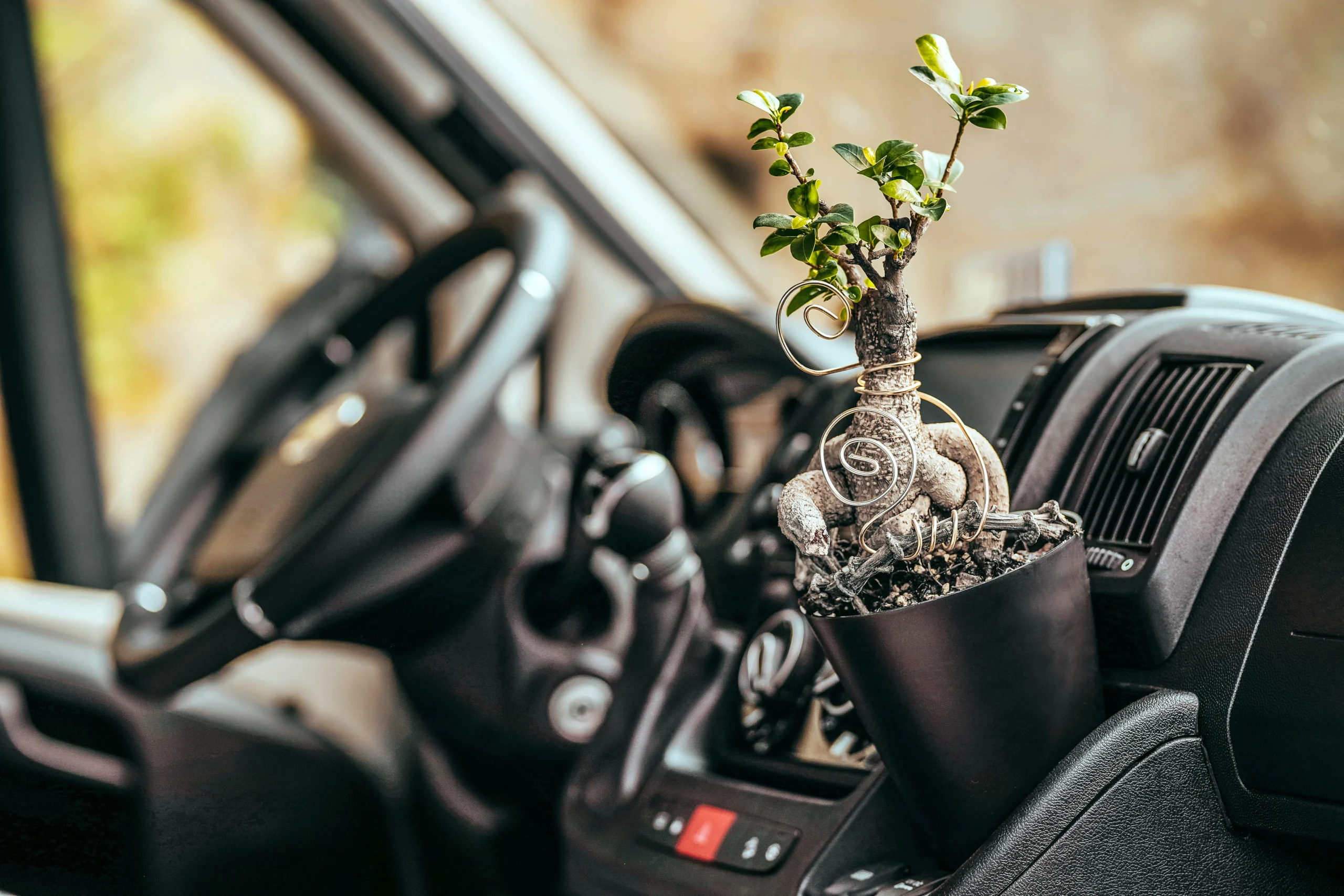 Camperflower Blumentopf