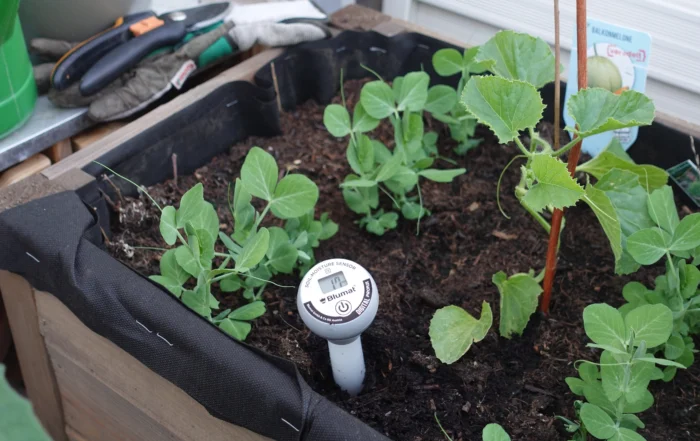 Blumat Digital Feuchtigkeits-Sensor