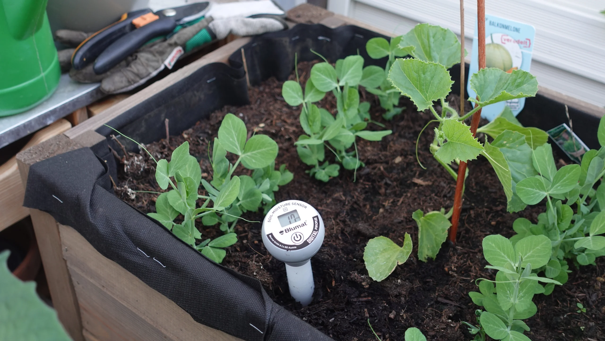 Blumat Digital Feuchtigkeits-Sensor