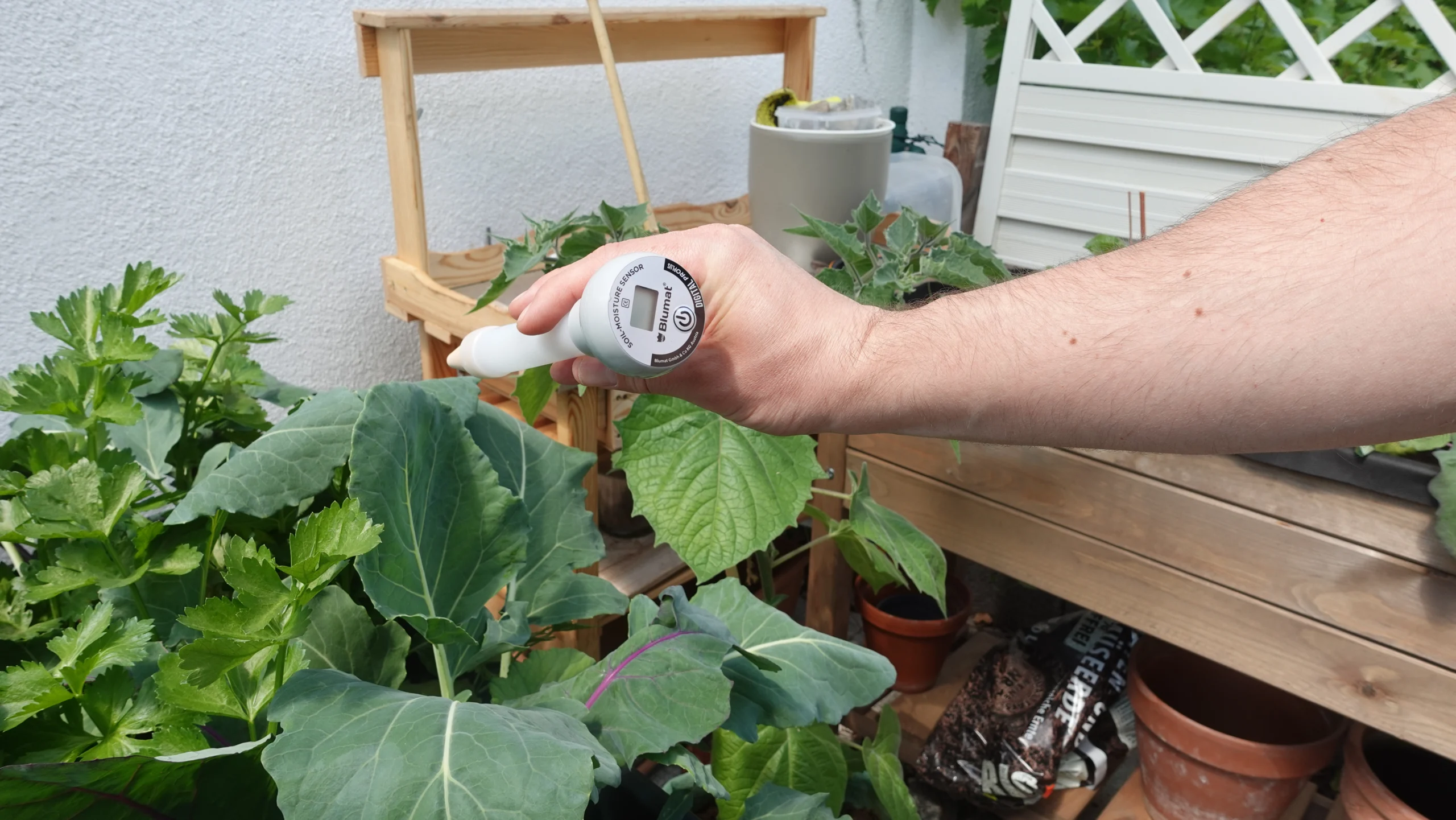 Blumat Digital Sensor