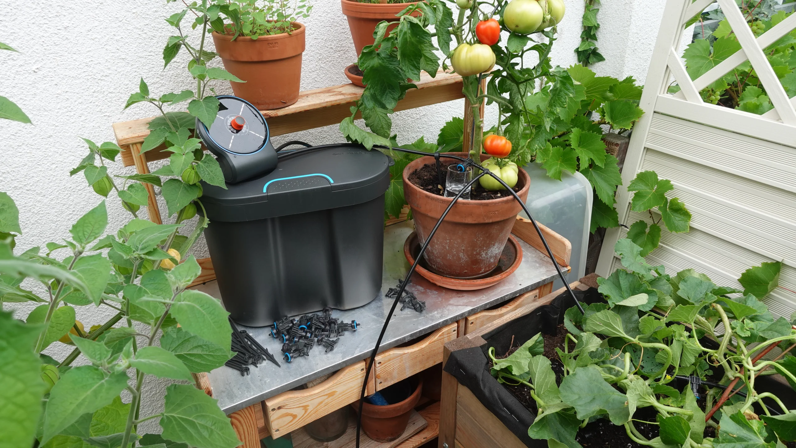 Urlaubsbewässerung AquaBloom Installation