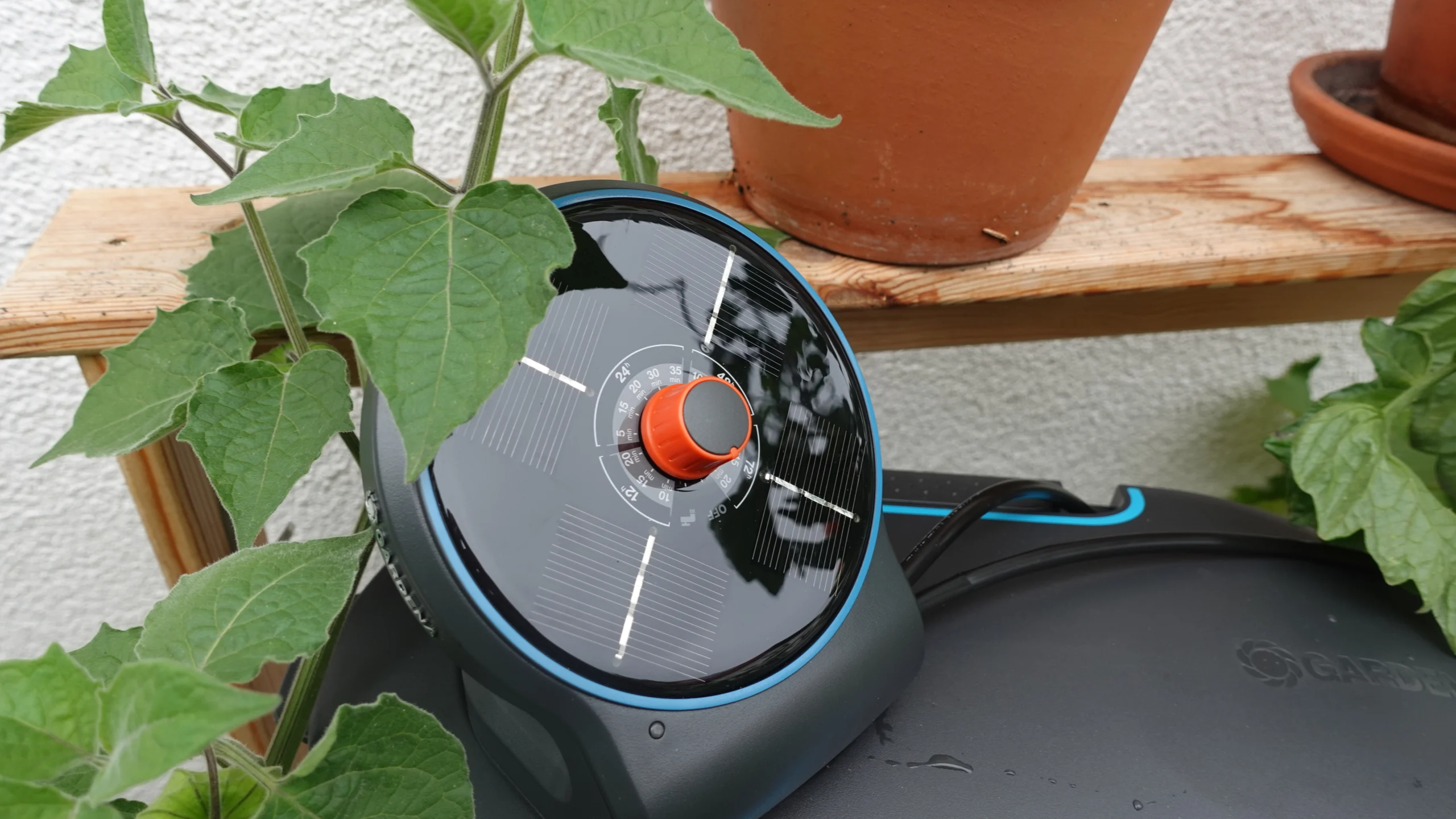 Urlaubsbewässerung AquaBloom Zeitschaltuhr