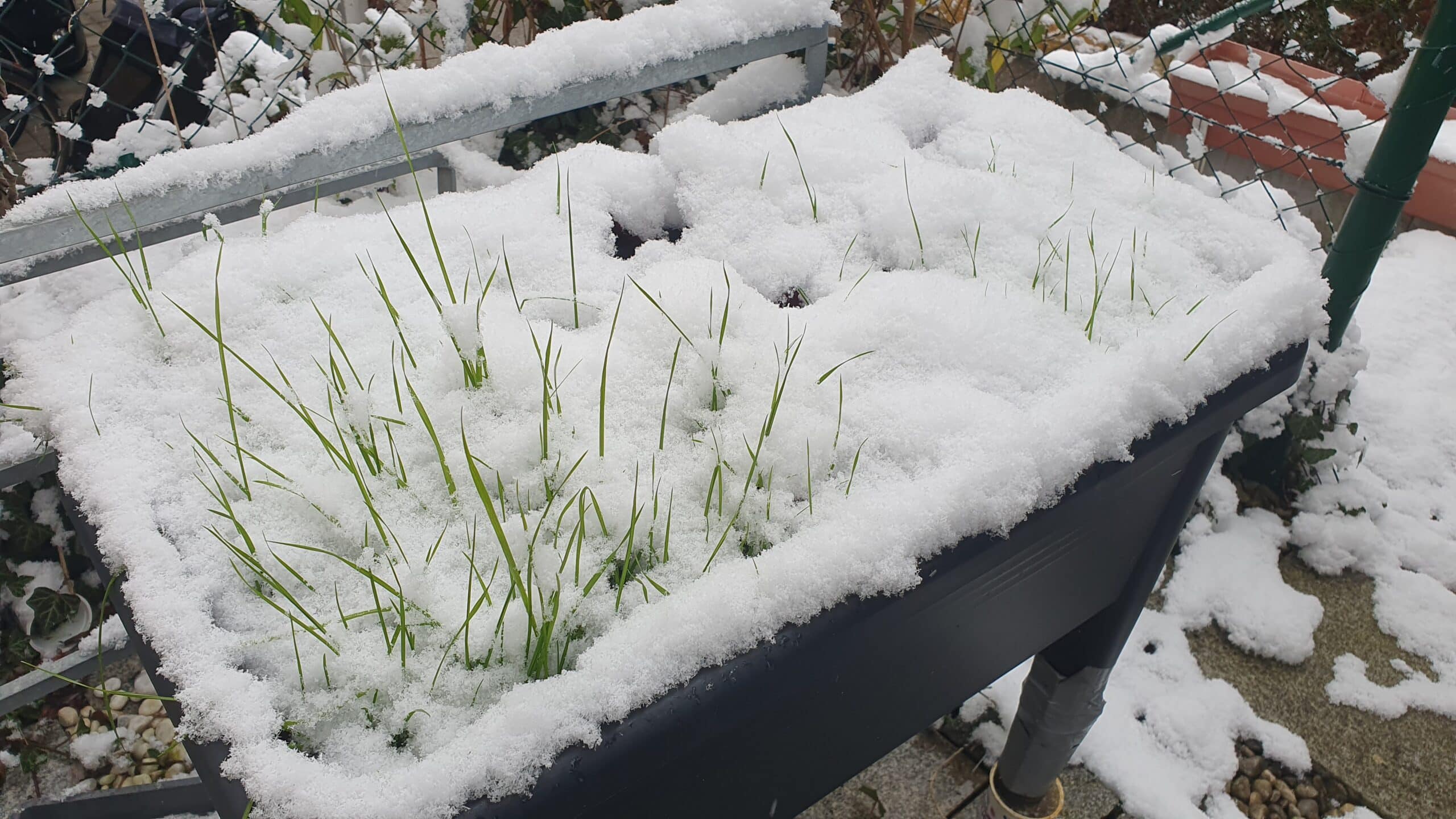 Verschneiter Gemüsebalkon im Dezember